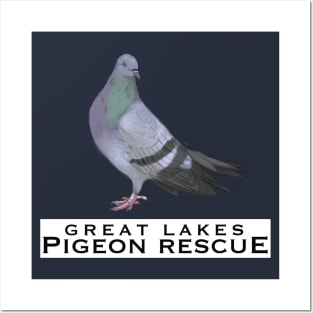 Great Lakes Pigeon Rescue Mascot Posters and Art